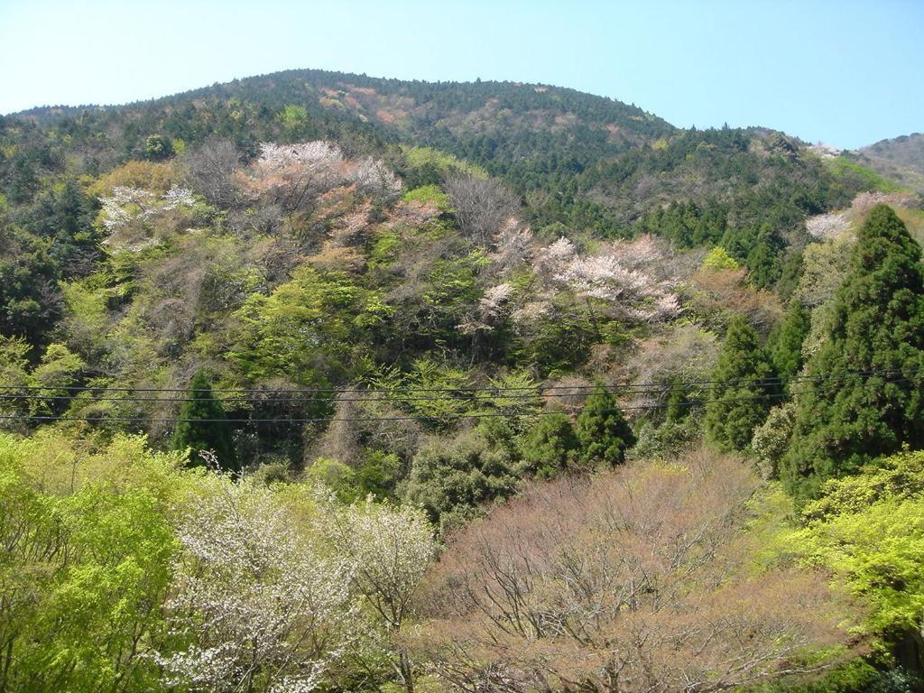 Hôtel Kamata à Yugawara Extérieur photo